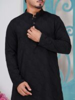 ELEGANT PANJABI CODE-AP02 - Image 2